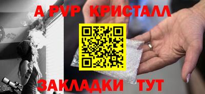 гашик Моздок