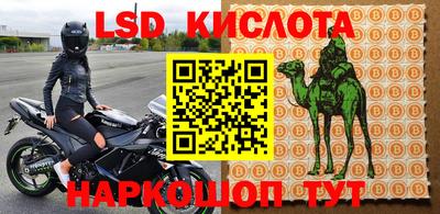 гашик Моздок