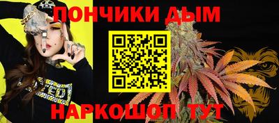 гашик Моздок