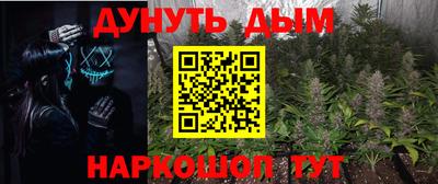 гашик Моздок