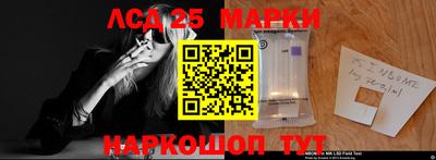 гашик Моздок