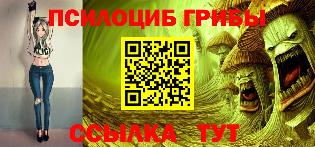 Псилоцибиновые грибы прущие грибы Туймазы